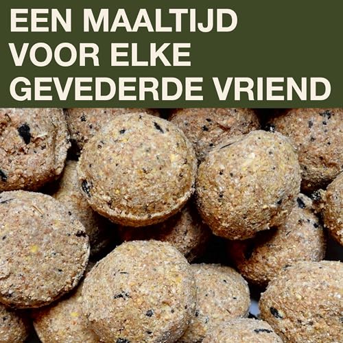 SWISSINNO Vogelvoeder Luzern SMART BIRDS - Hangende Schone Voederplek - Muizen- en Rattenbestendig - Voor Roodborstjes, Nigerzaad - Sterk en Betrouwbaar - Voor Vetbollen - Groen - Afbeelding 6