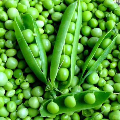 LiveNature Vegetable Seeds | Matar Seeds | Green Peas Seeds | Desi Seeds | Home Garden Plant Seeds - 100 Seeds (B0D792T791) Amazon Price History, Amazon Price Tracker