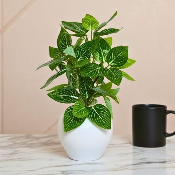 Image of fancymart Artificial Plant Leaves in Apple Pot (30 cm Height) | Small Potted Plant for Office Desk | Home Decor for Living Room | Cafe & Restaurant Table Decoration