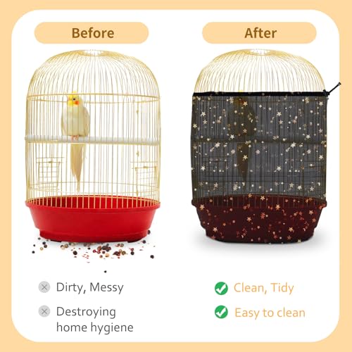 View 5