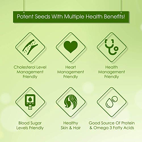 Image of Radha Govind Organic Roasted Flax Seeds For Eating | Heart Healthy Flax Seeds | Alsi Seedss (700 Gram)