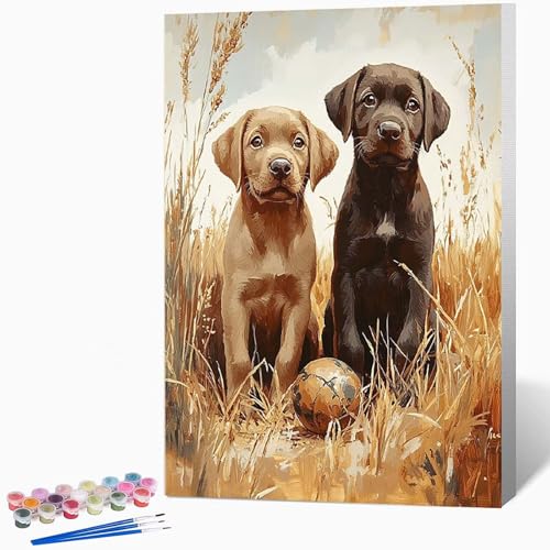 犬 ペイントバイナンバーキット動物 数字油絵 塗, DIY手描き油絵セット(ブラシ3本とアクリル絵の具を含む)、キャンバスセット、家の壁の装飾ギフト,誕生日プレゼント女性 30*40CM フレームなし -WX251012R