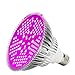 Price comparison product image Led Grow Light Bulb Full Spectrum Plant Light 100W 160 Degree Plant Lamp, E27 Grow Light for Indoor Plant, Vegetables, Flower and Seed, Led Plant Bulb for Hydroponics Greenhouse Organic