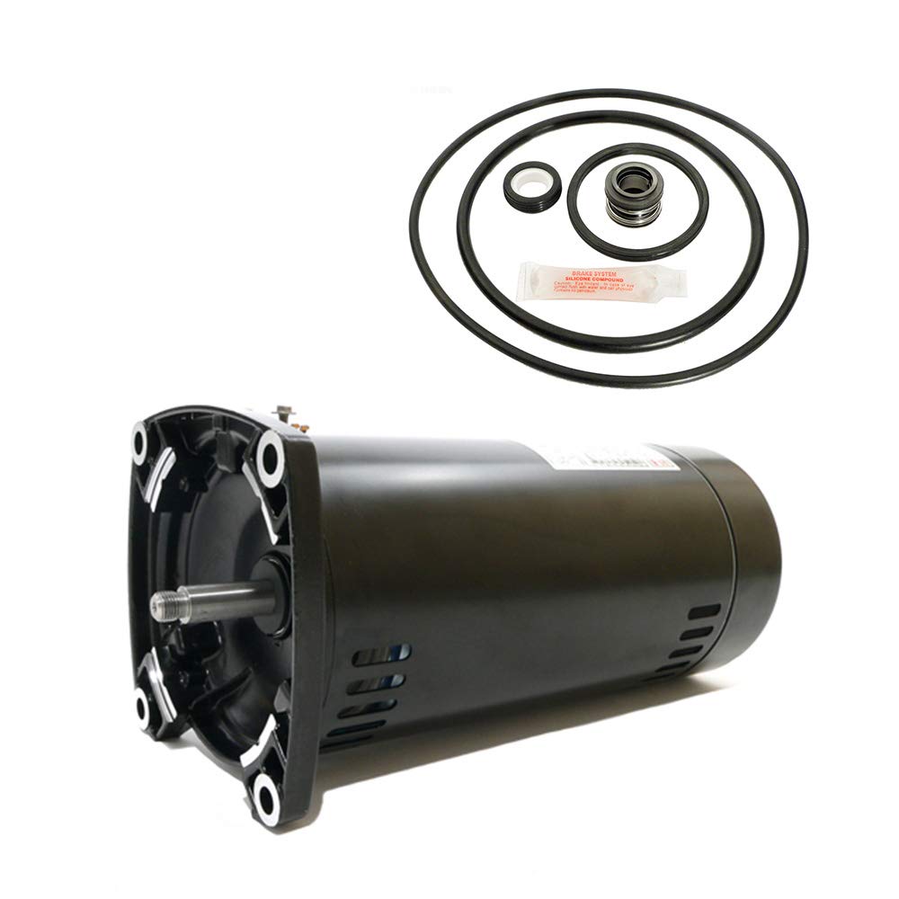 Puri Tech Pentair Pinnacle 1HP 342854 Replacement Motor Kit AO Smith USQ1102 w/GO-KIT-24