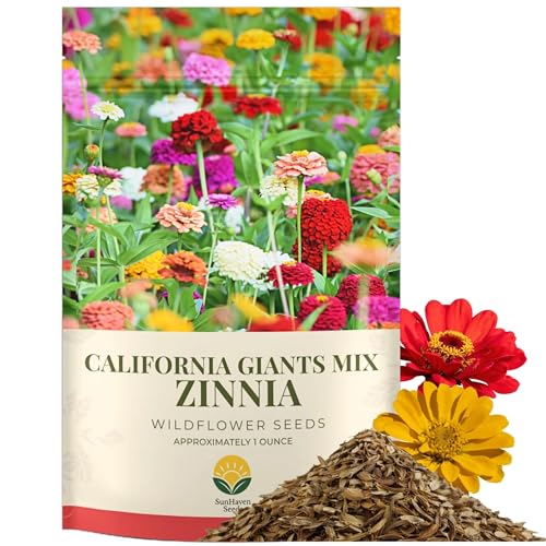 SunHaven Seeds Zinnia Seeds California Giants Mix 4 000+ Seeds 1 oz Bulk Extra Large Resealable Packet Premium Heirloom Zinnia elegans Seeds with Giant Blooms in Vibrant Colors