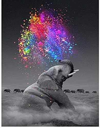Paint by Number, Adults and Children Beginners, Canvas Oil Painting kit, 16X20 inches with Brush and Acrylic Paint. (Elephant)