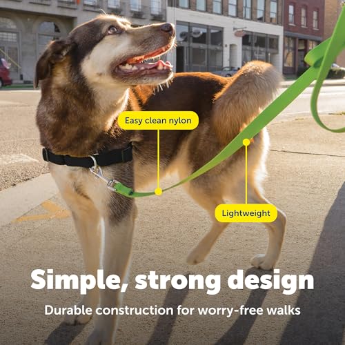 Image of PetSafe Nylon Dog Leash - Strong, Durable, Traditional Style Leash with Easy to Use Bolt Snap - 3 /4 in. x 6 ft., Apple Green