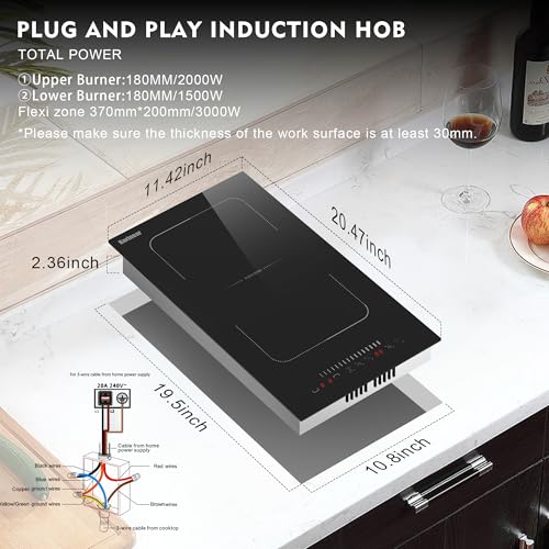 Double Induction Cooktop Portable