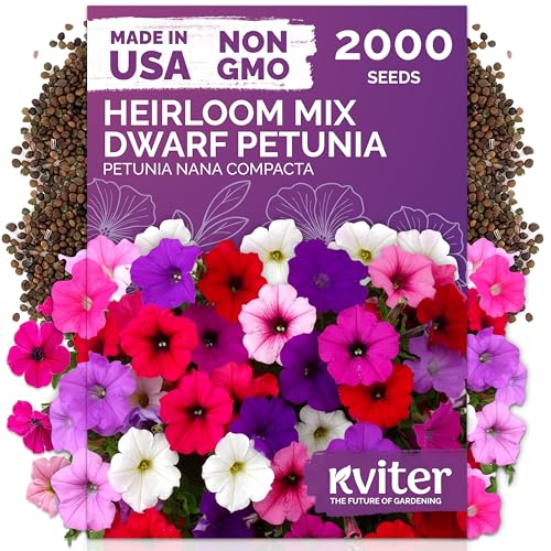 KVITER 2,000 Mix Dwarf Petunia Seeds for Planting Flowers (N...