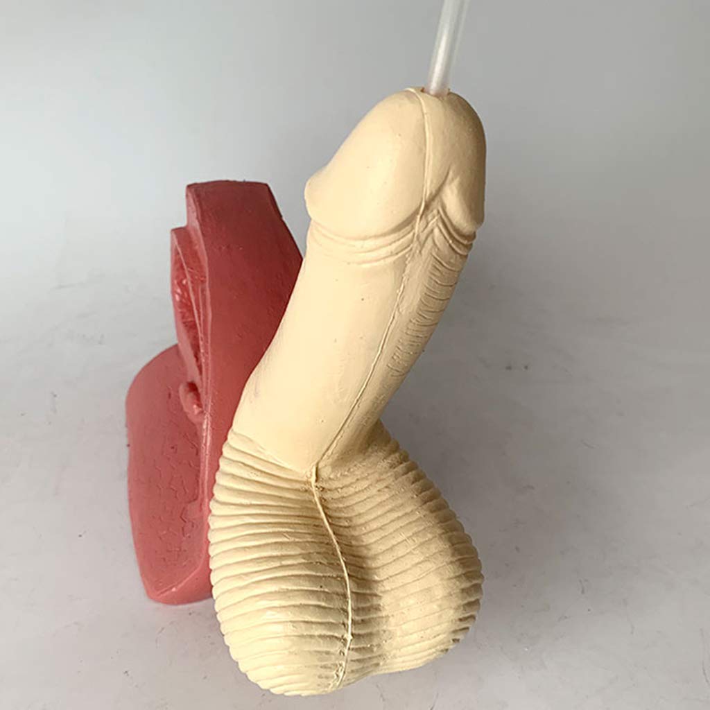 Modèle de cathétérisme Huili - Modèle de Structure reproductrice Interne et Externe de l'urètre Masculin - Modèle de Pratique de Chirurgie médicale de cathétérisme d'intubation