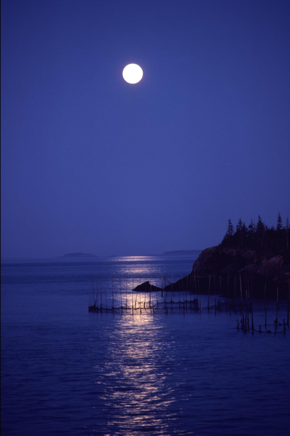 Collegebook (German Edition)