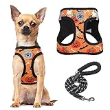 BEAUTYZOO Step in Dog Harness and Leash Set,Floral Pattern Reflective Dog Harness No Pull No Choke Puppy Harness for Small Dogs Cats,Soft Padded Mesh Vest Harnesses for Girl and Boy Pets,Halloween XS