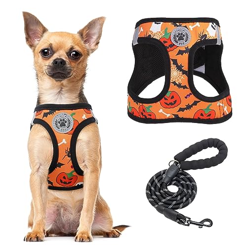 BEAUTYZOO Step in Dog Harness and Leash Set,Floral Pattern Reflective Dog Harness No Pull No Choke Puppy Harness for Small Dogs Cats,Soft Padded Mesh Vest Harnesses for Girl and Boy Pets,Halloween XS