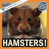 Hamsters!: A My Incredible World Picture Book for Children (My Incredible World: Nature and Animal Picture Books for Children)