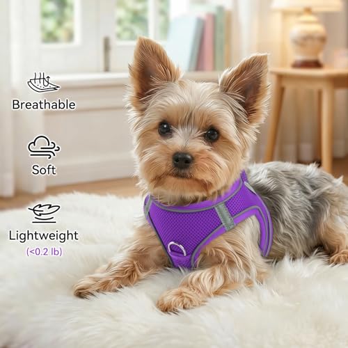 Joytale Hundegeschirr Kleine Hunde, Reflektierend Weich Gepolstert Geschirr, Air-Mesh Brustgeschirr Hund klein, S, Lila