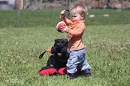 Dingo Gear Weicher Echtlederball mit Griff für das Beißtraining, Ø 11 cm, Hundespielzeug zum Apportieren und Belohnen, zufällige Auswahl