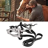 Zoom IMG-2 gind speculum per bocca di Zoom IMG-2 gind speculum per bocca di