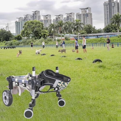 Fauteuil roulant pour chien paralysé : solution ajustable 4 roues membres postérieurs - 7