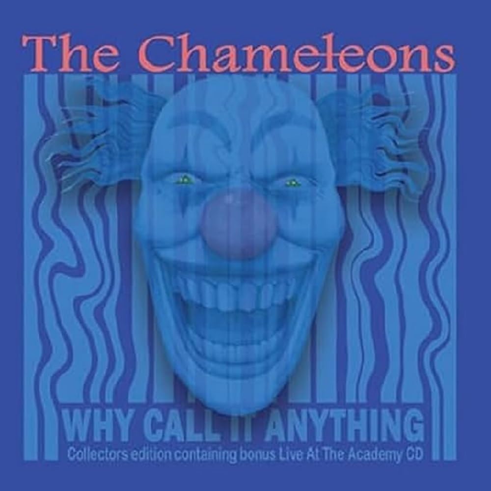 Why Call It Anything / Live In Manchester (2cd)