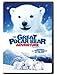 The Great Polar Bear Adventure
