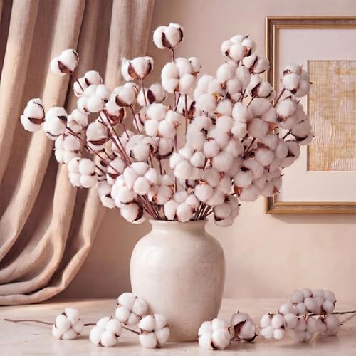 Suncalla 24 Pcs Natural Cotton Stems with 45 Bolls 16 Clean Dried Cotton Branches 3 Form Assortment Airy Farmhouse Decor Floral Arrangement Vase Filler for Summer Home Wedding Countertop