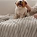 Bedsure GentleSoft King Size Blanket for Bed - Cozy Soft Blankets for Women, Cute Large Fleece Throws for Girls, Beige, 108x90 Inches
