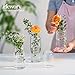 Glass Bud Vases for Flowers - Hewory Blown Modern Small Glass Vases for Centerpieces Set of 3, Mini Clear Bulk Flower Vases for Wedding Party Events Home Decor Floral Arrangements (Not Include Flower)
