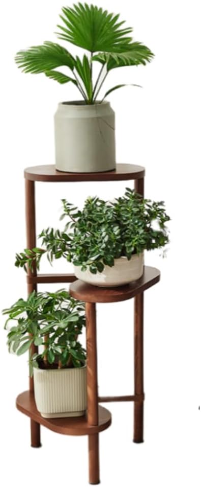 （本日限定価格）　オーズプランツ　青典牡丹　カキコ　カット苗 オーズプランツ 青典牡丹 カキコ カット苗 2025年最新】青典牡丹 多肉の