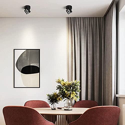 Lampe d'accent de plafond réglable 360 LED noire 12W 6000K - 4
