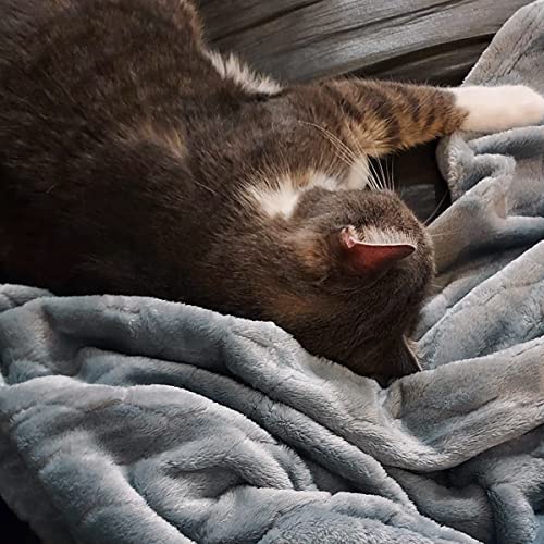 Toonow Fleece Blanket Super Soft Cozy Throw Blanket 50" X 60", Lightweight Fuzzy Comfy Textured Flannel Blanket Warm Plush Throw Blankets For Couch, Sofa, Bed, Light Grey #TOP7