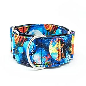candyPet - Collar Martingale para Perros, Universe, ANCHO ESPECIAL
