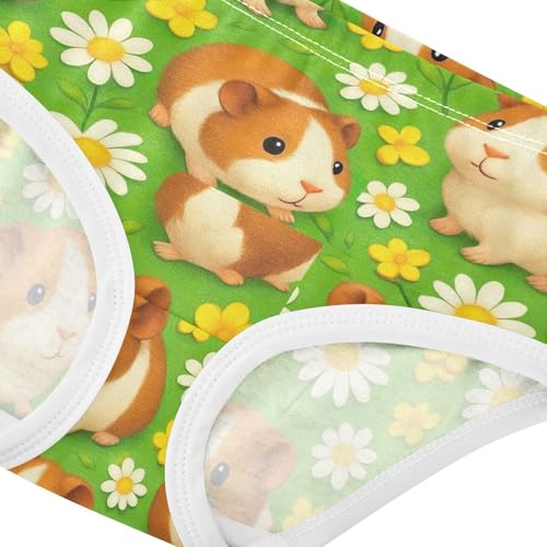 Joisal Fun Toddler Underwear Floral 2t Cotton Little Girl Panties Cute Brown Guinea Pigs Daisies Briefs Undies Kids4