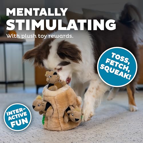 Image of Outward Hound Hide-A-Squirrel Plush Squeaky Dog Toy, Medium, 6.5 inch x 6.5 inch