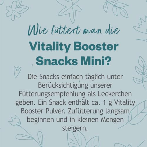 GRAU - das Original - Hokamix Vitality Booster Snack Mini, 1er Pack (1 x 2,25 kg), Ergänzungsfuttermittel für Hunde