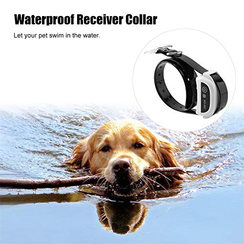 YINGZU Dog Fence Training Collar in Use