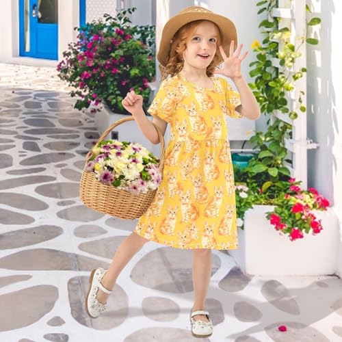 Orange Cat Girls Dresses Sundress Kids Short Sleeve Casual A Line Dresses4