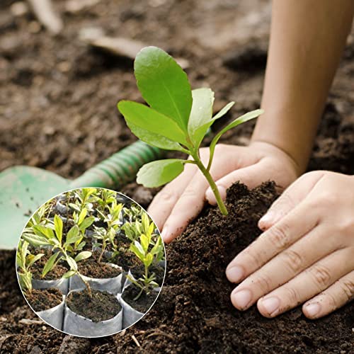 Greaner 200 Pcs Nursery Bags, Non-Woven Fabric Seedling Bags Biodegradable, 5.5 Inchx6.3 Inch Grow Bags For Home Garden Supply thumb #6