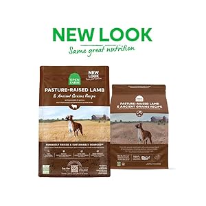   Open-Farm-Ancient-Grains-Dry-Dog-Food-Humanely-Raised-Meat-Recipe-with-Wholesome-Grains-and-No-Artificial-Flavors-or-Preservatives-Pasture-Raised-Lamb-Ancient-Grain-4-Pound-Pack-of-1