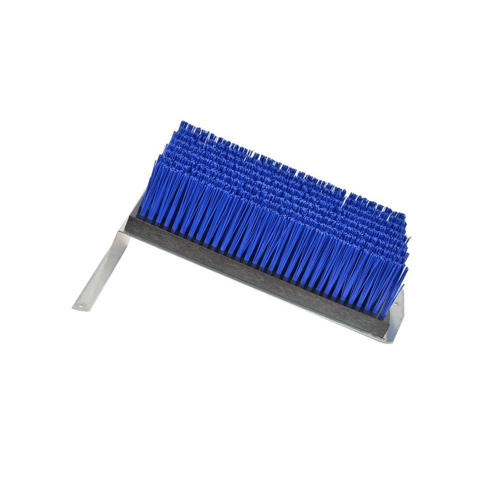 Brush Only For Clean Shoes 060119 One Size