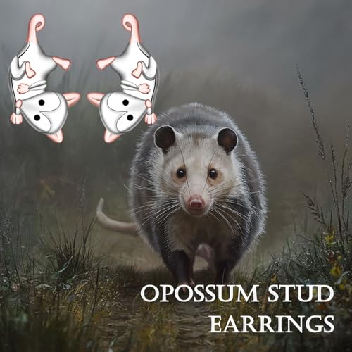 Cute Possum Earrings for Women - 925 Sterling Silver Opossum Stud Earrings Animal Jewelry Hypoallergenic Birthday Christmas Gift4