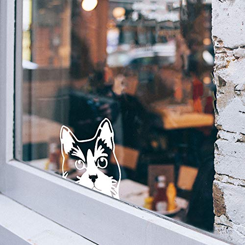 Image of WIRESTER 6 inch Clear Vinyl Decal Sticker Decoration for Car Window (Or Any Flat Surface) - Tuxedo Cat