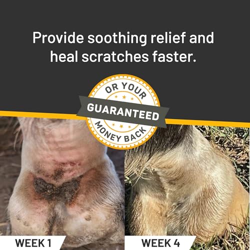 Silver Honey Rapid Skin Relief Equine Scratches Spray, 6 fl oz, Horses Only | Manuka Honey, MicroSilver BG, Heals Fast, Essential Oils, Pastern Dermatitis, Mud Fever, No Scab Picking, Touchless Soothing - Image 2