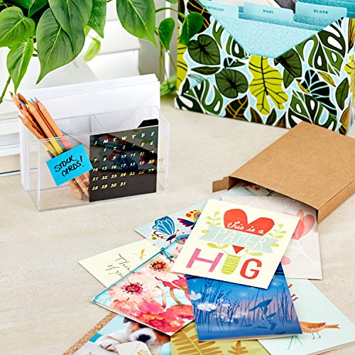 Hallmark All Occasion Cards Assortment-Thinking of You, Thank You, Sympathy Cards (12 Cards, Refill Pack Card Organizer Box) - Image 2
