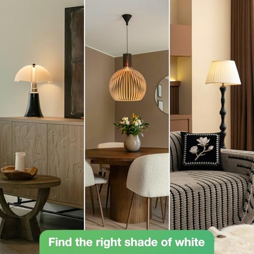 Image of A19 LED Light Bulbs, 60 Watt Equivalent LED Bulb, 2700K Soft White 800Lumen Light Bulb 8W, Non-Dimmable Lighting E26 Base, CRI 80+, 15000+ Hours Lifespan, Pack of 12