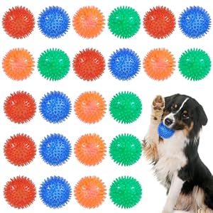 HEQU 24 Pack 2.5″ Squeaky Spiky Dog Ball, Balls for Dogs, Chew Toys for Boredom for Small Medium and Large Canine Chewing, Teething, Throwing(Multicolor)