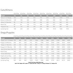 Actual Meat Air Dried Cat Meals & Canine Meals w/Actual Hen – 14oz of USA-Crafted Grain-Free Dry Canine & Cat Meals Sourced from Free-Vary, Cage-Free Hen – All Pure, Excessive Protein Pet Meals