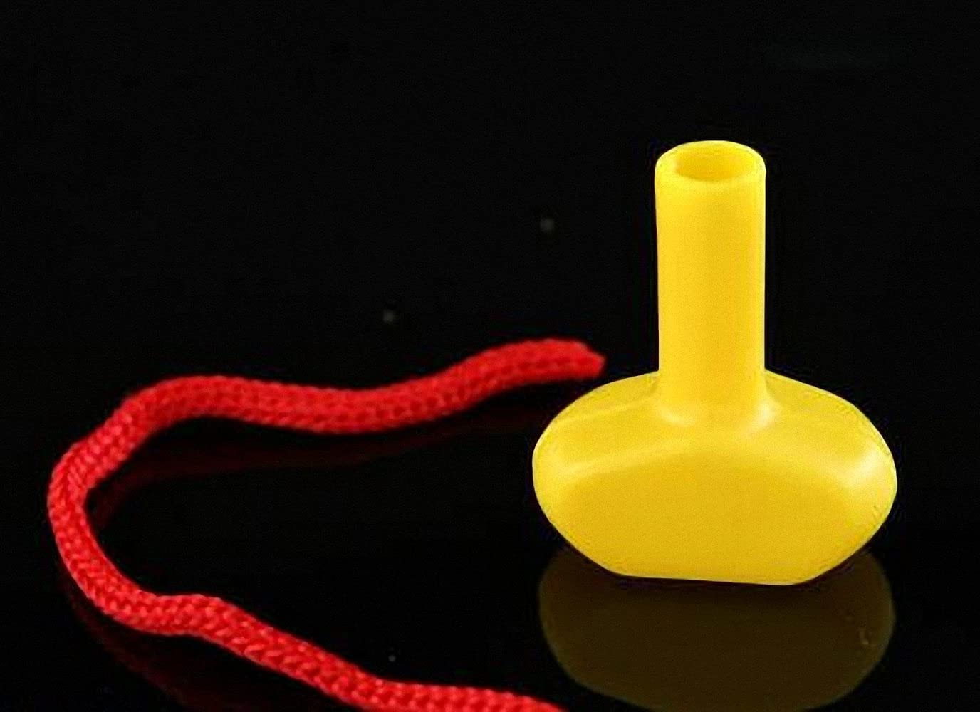 Close Up Magic Tricks – Splash Bottle – Tour De Magie Avec Bouteille De Champagne – Production Surprise Depuis Un Ballon Ou Un Sac En Papier – Cadeau Magicien