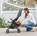 Baby Delight Go with Me Dart Stroller | Ultra-Compact Lightweight Stroller | Comfortable Baby Stroller | Charcoal Tweed