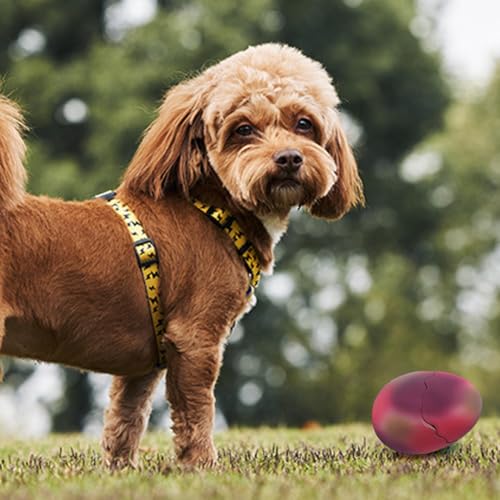 Fituenly Hundequietschende Spielzeug Latex Dinosaurier Ei Model Hundespielzeug Klingen Molierspielzeug Für Hunde, Haustier Und Welpe.