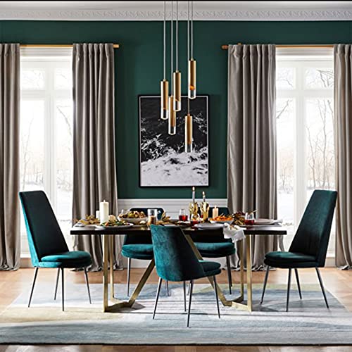 Lustre LED réglable au design moderne simple tête en verre pour décoration